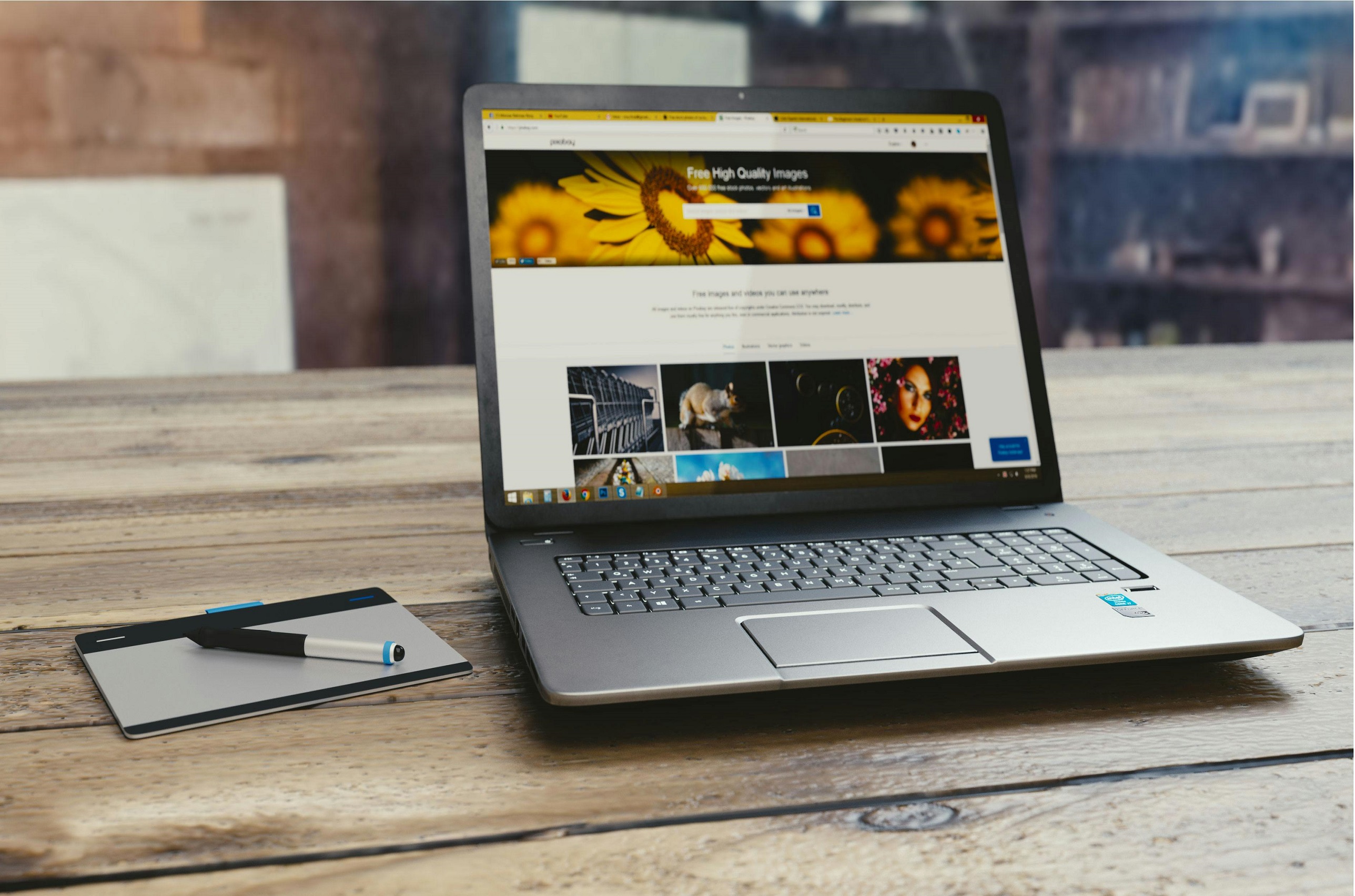 WEB TASARIM
